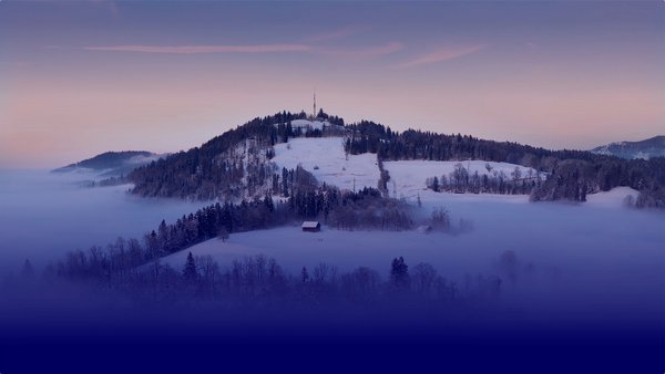 Über uns RIZ AG - Individuell, sicher und aus der Schweiz
